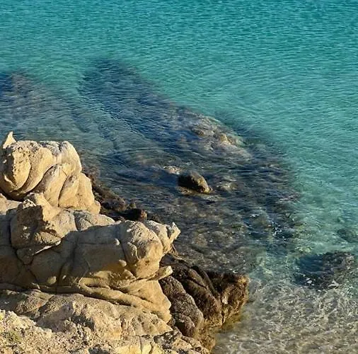 Apartament Aurelia Residences Rawda